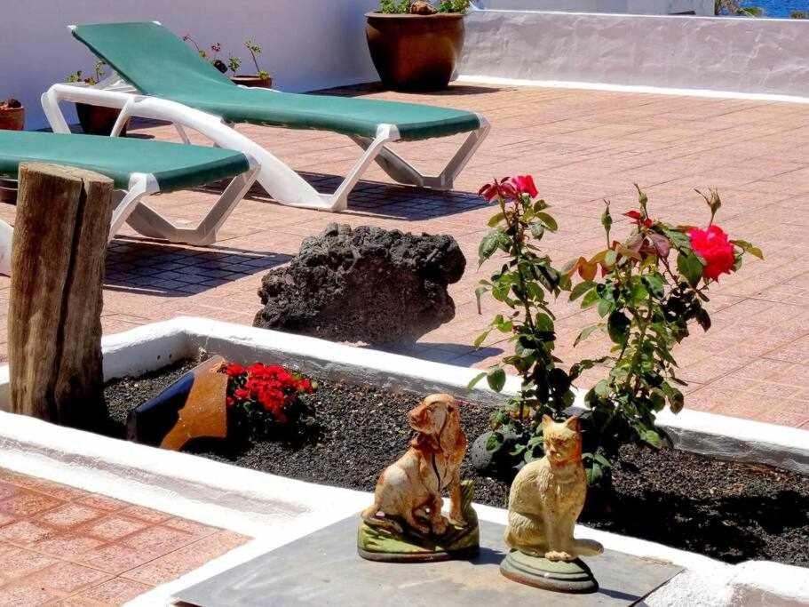 Casa Descanso Con Jacuzzi En 플라야 케마다 외부 사진